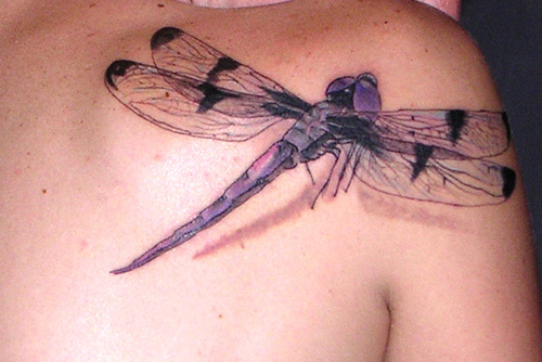 3d Dragonfly Tattoo Designs
