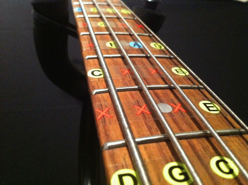 5 String Bass Guitar Notes Chart