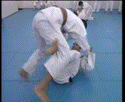 Brazilian Jiu Jitsu Gif