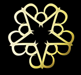Bvb Symbol With Fire