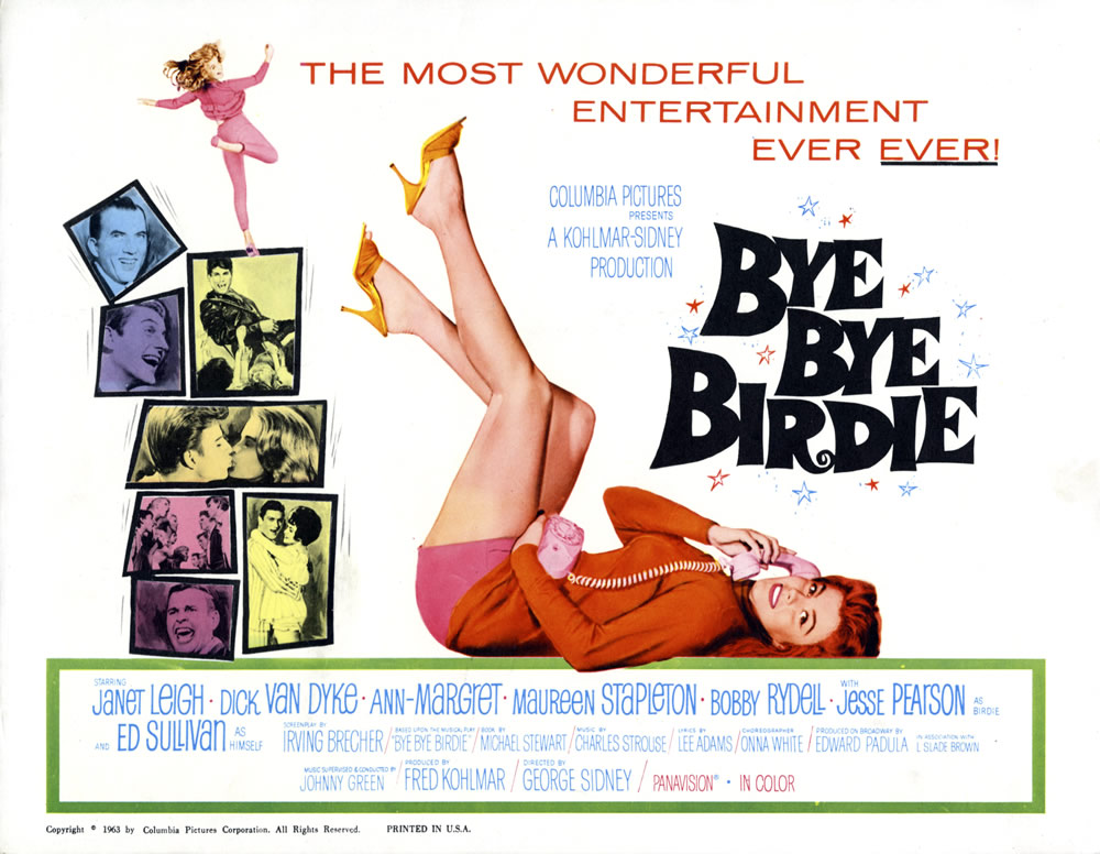 Bye Bye Birdie 1963 Rosie
