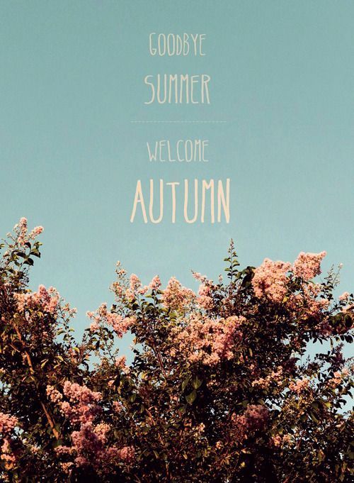 Bye Bye Summer Quotes