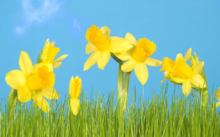 Daffodils Poem Analysis