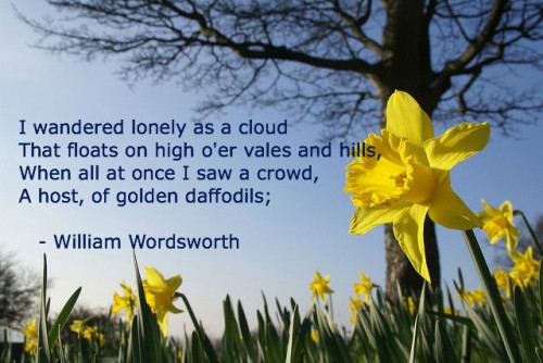 Daffodils Poem By William Wordsworth
