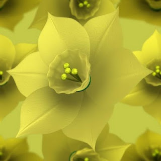 Daffodils Poem Meaning