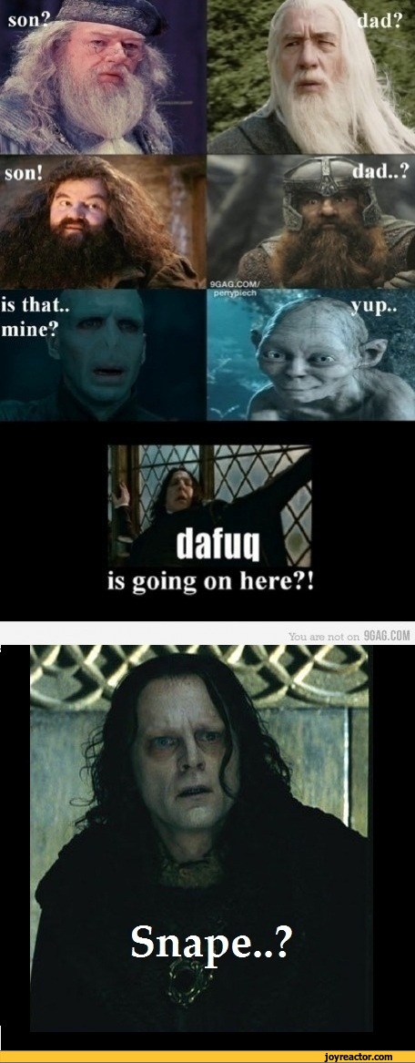 Dafuq Meme Snape
