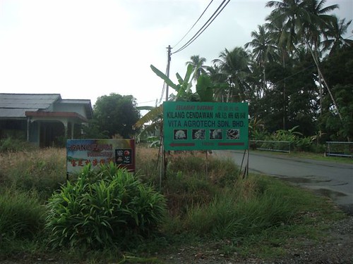 Dragon Fruit Farm Tanjung Sepat