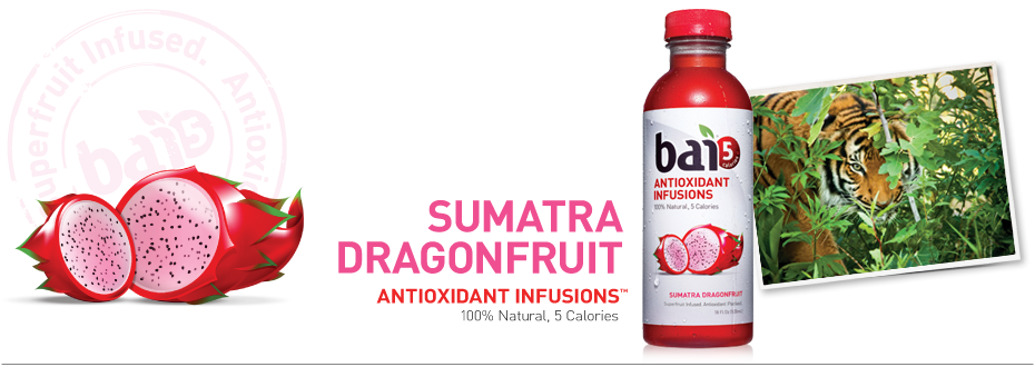 Dragon Fruit Taste Description