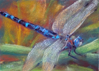 Dragonfly Artist