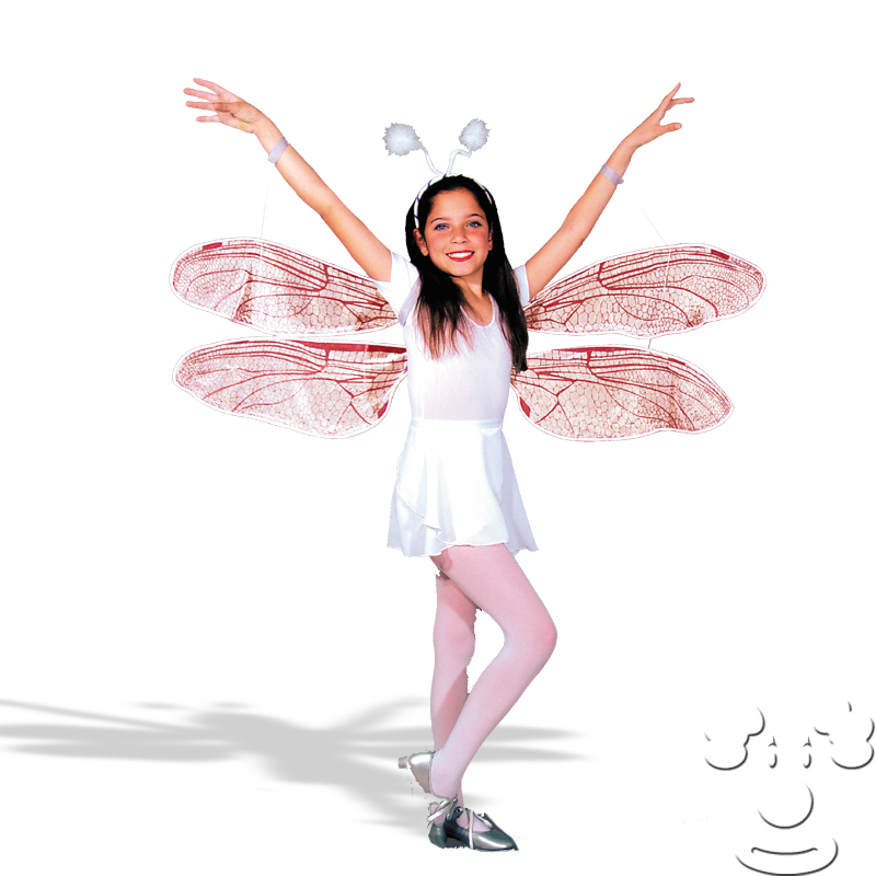 Dragonfly Wings Costume