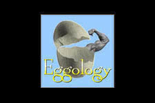 Eggology Coupon