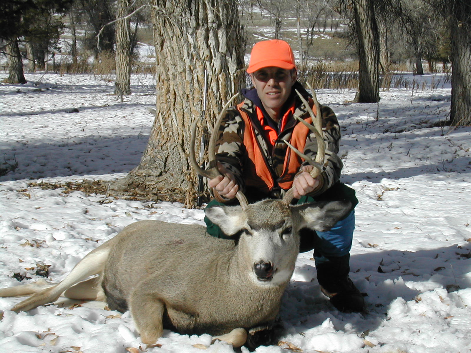 Elk Hunting Colorado Gmu 18