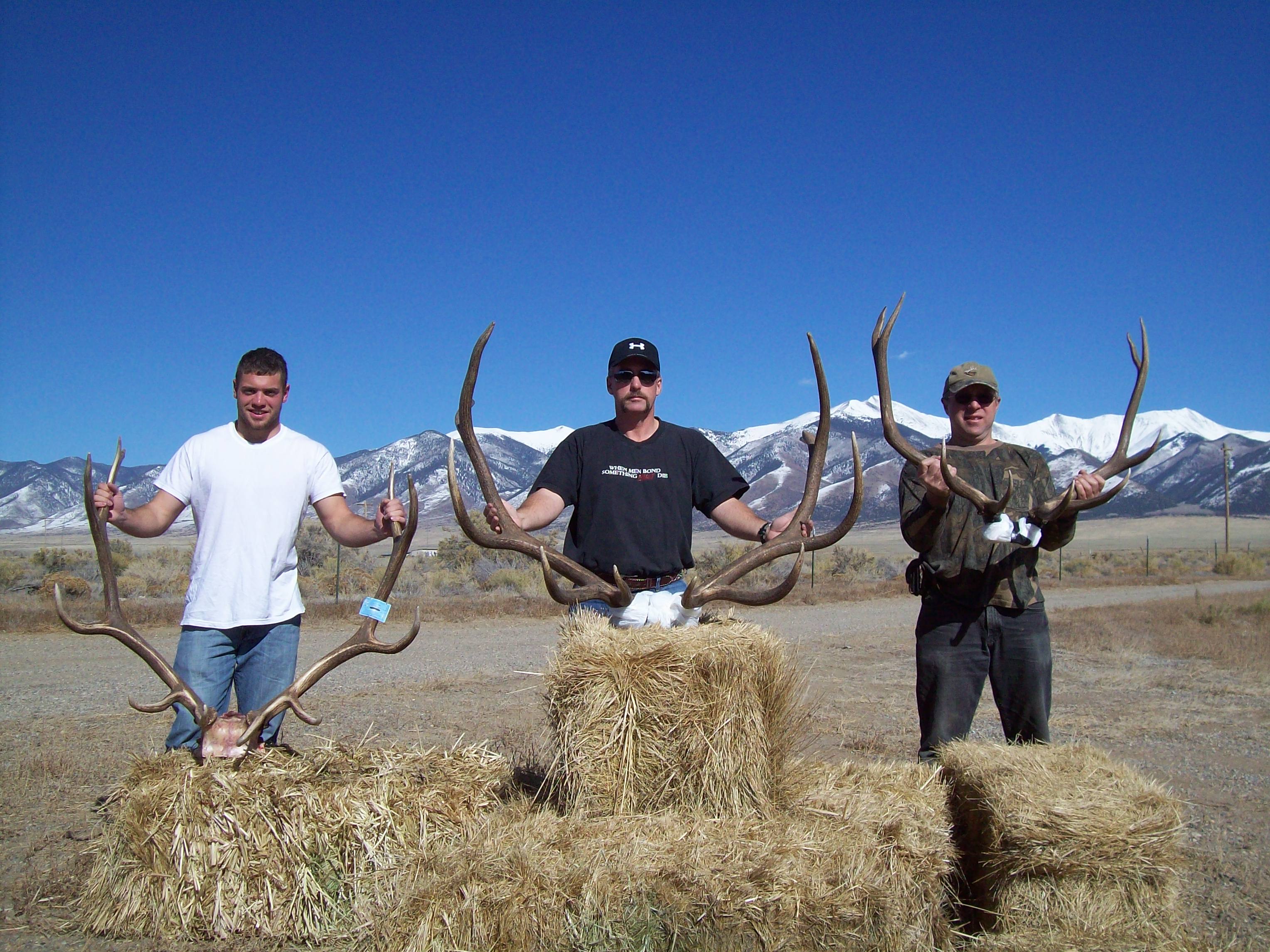 Elk Hunting Colorado Outfitters