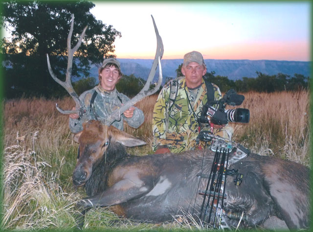 Elk Hunting Colorado Season