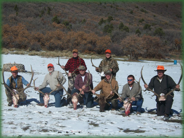 Elk Hunting Colorado Springs