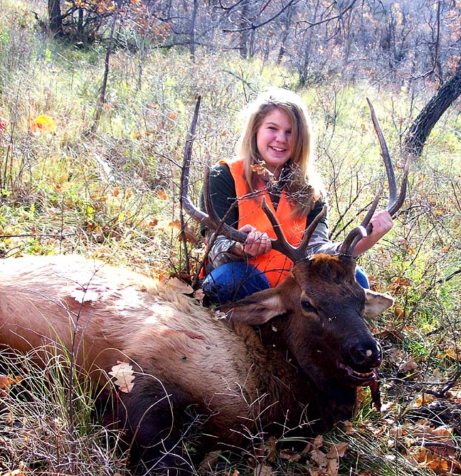 Elk Hunting Colorado Springs