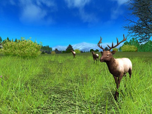 Elk Hunting Games