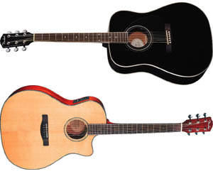 Fender Guitars Acoustic
