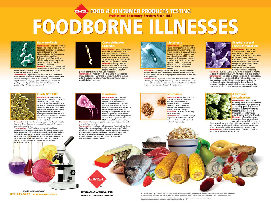 Food Hygiene Poster