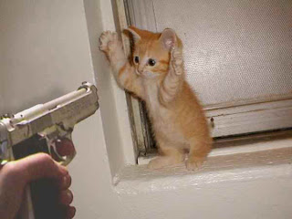 Funny Cats With Captions And Guns