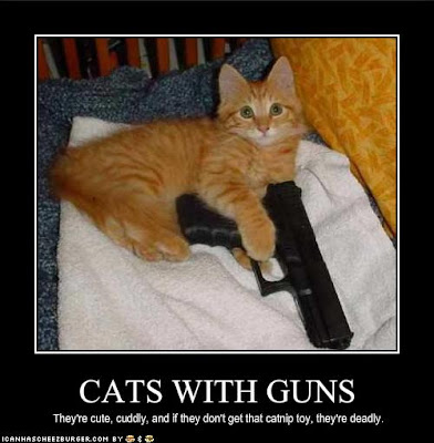 Funny Cats With Guns And Words