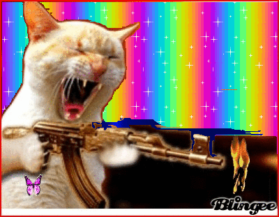 Funny Cats With Guns Animations