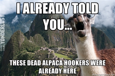 Funny Llama Memes