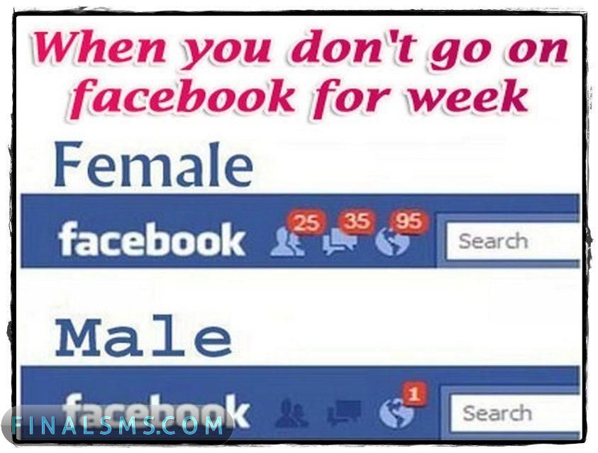 Funny Pictures For Facebook 2012