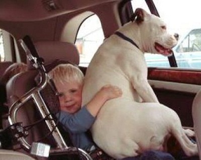 Funny Pictures Of Animals For Kids