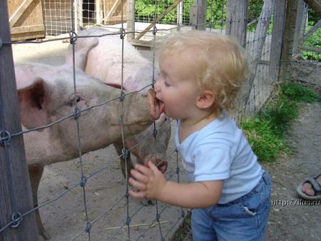 Funny Pictures Of Animals For Kids