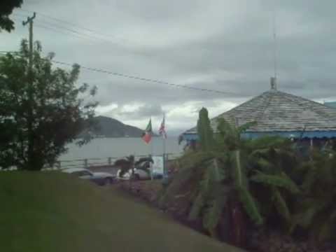 Gallipot Nevis