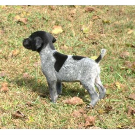 German Shorthaired Pointer Black And White Puppies