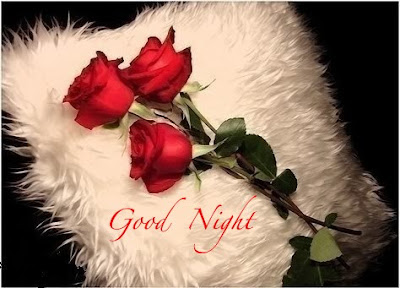 Good Night Love