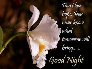 Good Night Quotes For Friends Hd