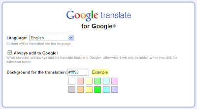Google Translate App Chrome
