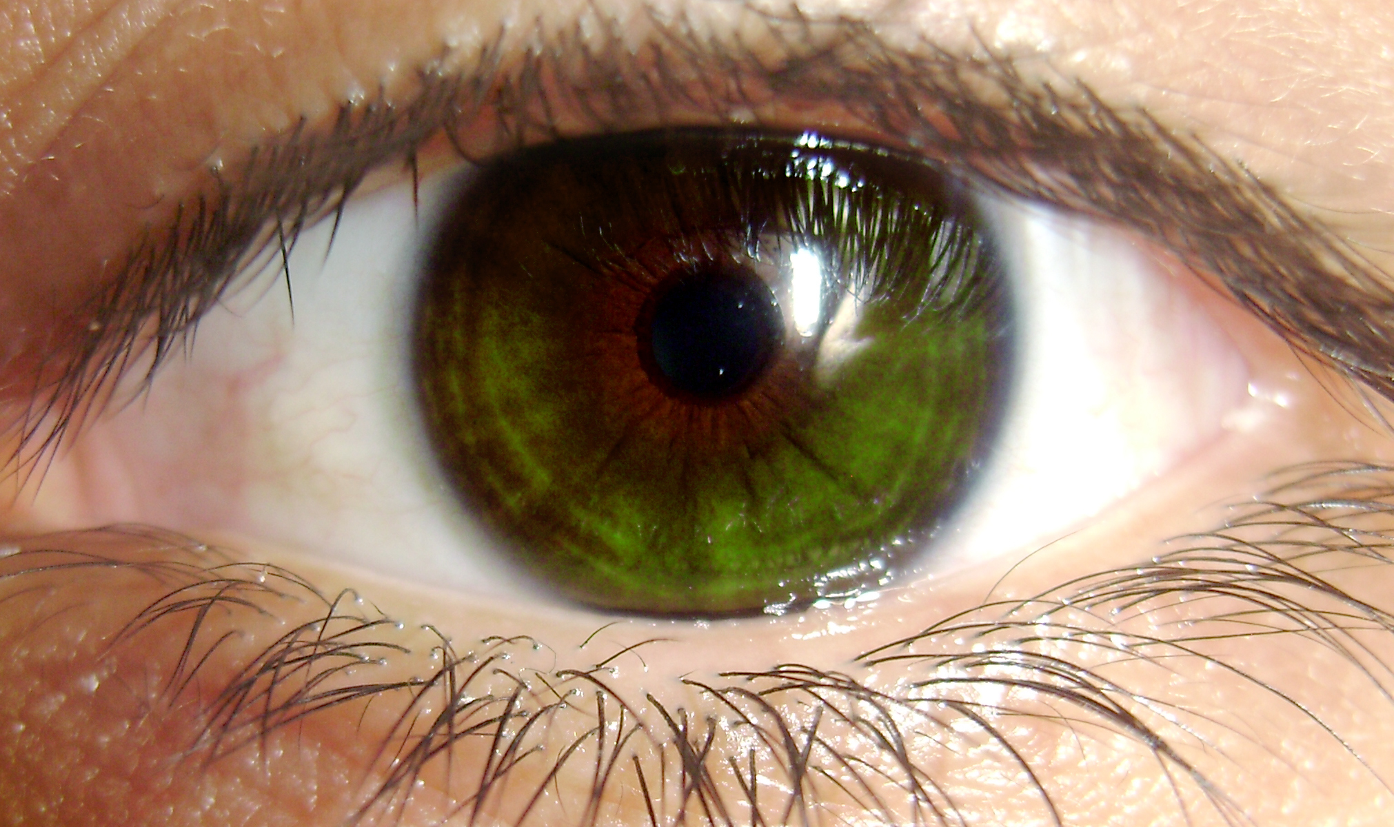 Green Eyes Close Up