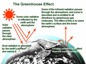 Greenhouse Effect For Kids Worksheets