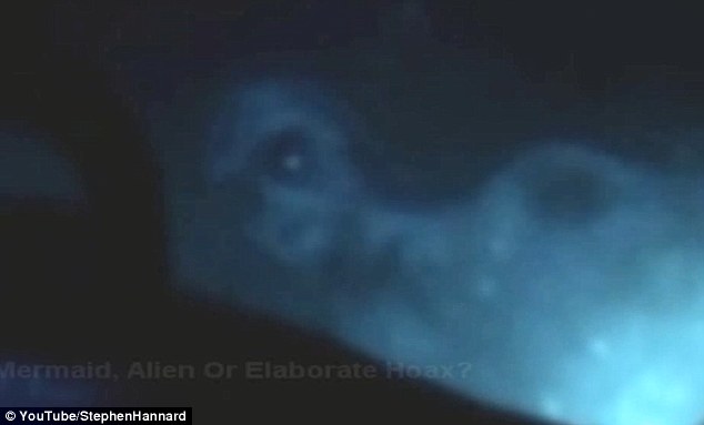 Greenland Mermaid Video Fake