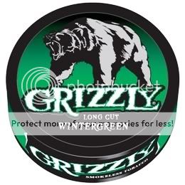 Grizzly Wintergreen Backgrounds
