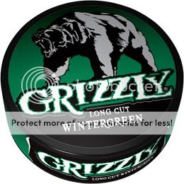 Grizzly Wintergreen Log