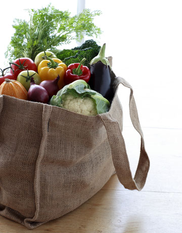 Grocery Shopping Bag