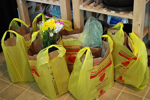 Grocery Shopping Online Shoprite