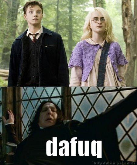 Harry Potter Dafuq Meme