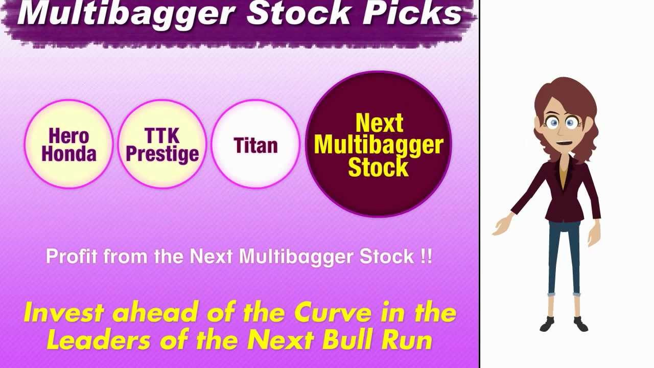 Hbj Capital Multibagger