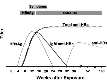 Hbsag Reactive And Anti Hbe Reactive
