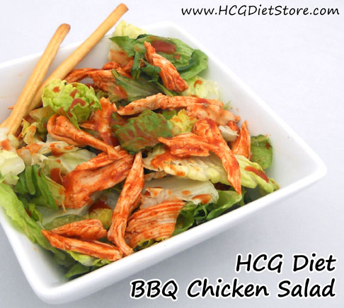 Hcg Diet Recipes Phase 1 Chicken