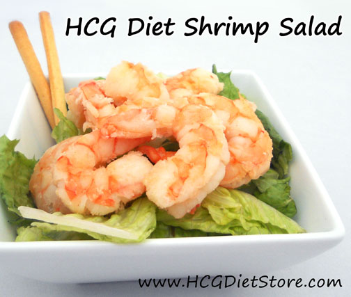 Hcg Diet Recipes Phase 2 Shrimp