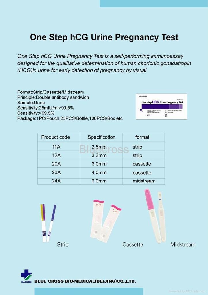 Hcg Pregnancy Test