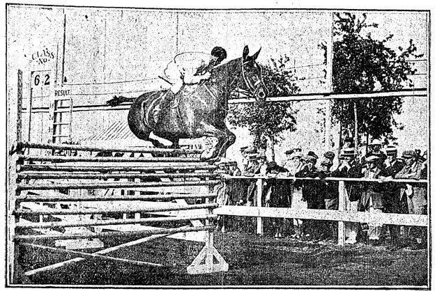 High Jump World Record Horse