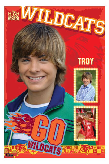 High School Musical 1 Troy